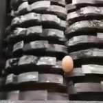 Egg in grinder meme