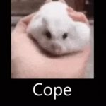 Cope Hampter GIF Template