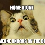 scared cat home alone