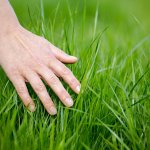 touch grass