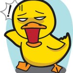 Shocked duck