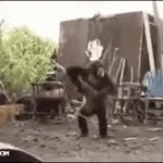 AK Monke GIF Template