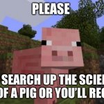 ඞ | PLEASE; DON’T SEARCH UP THE SCIENTIFIC NAME OF A PIG OR YOU’LL REGRET IT | image tagged in minecraft pig | made w/ Imgflip meme maker