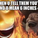 Satanic woody (no spacing) | WHEN U TELL THEM YOU’RE 6’4’’ AND U MEAN 6 INCHES 4 FEET | image tagged in satanic woody no spacing | made w/ Imgflip meme maker