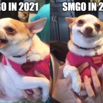 smg0 in 2021 and 2022 | SMG0 IN 2022; SMG0 IN 2021 | image tagged in chihuahua meme,smg4,smg0 | made w/ Imgflip meme maker