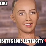 Sophia Robot | I LOVE YOU LIKE; ROBUTTS LOVE LECTRICITY ❤ | image tagged in sophia robot | made w/ Imgflip meme maker