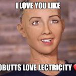 Sophia Robot | I LOVE YOU LIKE; ROBUTTS LOVE LECTRICITY ❤ | image tagged in sophia robot | made w/ Imgflip meme maker