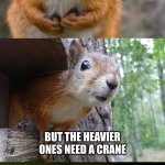 Bad Pun Squirrel Strikes Again | SMALLER BABIES MAY BE DELIVERED BY A STORK BUT THE HEAVIER ONES NEED A CRANE | image tagged in bad pun squirrel,squirrel,babies,birds,stork,crane | made w/ Imgflip meme maker
