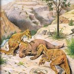It’s a misconception that the Age of Dinosaurs was uniformly brutal; in fact it was full of tender surprises. | The Velociraptors went to check on the babies of the Protoceratops mother who wasn’t feeling well. | image tagged in velociraptors and protoceratops by thomas crosby,raptor,velociraptor,dinosaur,dinosaurs,dino | made w/ Imgflip meme maker