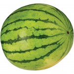 watermelon meme
