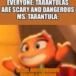 Can you plz agree | EVERYONE: TARANTULAS ARE SCARY AND DANGEROUS
MS. TARANTULA: | image tagged in ms tarantula is confused of your actions,confused,memes,funny,hehehe | made w/ Imgflip meme maker