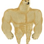 Buff doge