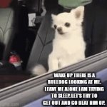 Little Chihuahua | WAKE UP THERE IS A BULLDOG LOOKING AT ME. LEAVE ME ALONE I AM TRYING TO SLEEP. LET'S TRY TO GET OUT AND GO BEAT HIM UP. | image tagged in gifs,bad pun dog | made w/ Imgflip video-to-gif maker