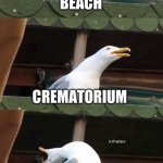 inhaling seagull 4 red | WHAT A HEAT; BEACH; CREMATORIUM; FIRE; SUN | image tagged in inhaling seagull 4 red | made w/ Imgflip meme maker