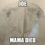 egale | JOE; MAMA DIED | image tagged in egale | made w/ Imgflip meme maker