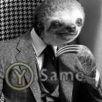 Gentleman sloth y same meme