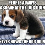 real sad | PEOPLE ALWAYS ASK WHAT THE DOG DOIN; NEVER HOWS THE DOG DOIN | image tagged in sad dog | made w/ Imgflip meme maker