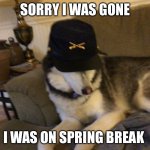 I was too busy to post | SORRY I WAS GONE; I WAS ON SPRING BREAK | image tagged in union husky,spring break | made w/ Imgflip meme maker