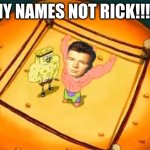 My Name Is Not Rick | MY NAMES NOT RICK!!!!! | image tagged in my name is not rick | made w/ Imgflip meme maker