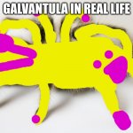 Tarantula | GALVANTULA IN REAL LIFE | image tagged in tarantula | made w/ Imgflip meme maker