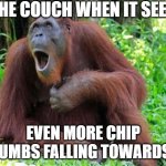 poor couch | THE COUCH WHEN IT SEES; EVEN MORE CHIP CRUMBS FALLING TOWARDS IT | image tagged in aghast ape | made w/ Imgflip meme maker