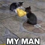 my M A N cats