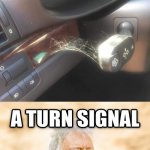 Use them, they help others. | WHAT SO MANY PEOPLES TURN SIGNALS LOOK LIKE | image tagged in bmw drivers,turn signals,a helping hand | made w/ Imgflip meme maker