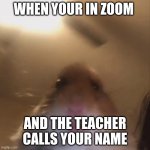hampter | WHEN YOUR IN ZOOM; AND THE TEACHER CALLS YOUR NAME | image tagged in hampter | made w/ Imgflip meme maker