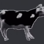 I have your ID GIF Template