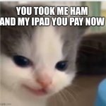 qweryuiop | YOU TOOK ME HAM AND MY IPAD YOU PAY NOW | image tagged in hangry | made w/ Imgflip meme maker