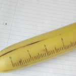 Banana for scale