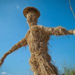 Strawman Argument