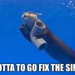 Lol | GOTTA TO GO FIX THE SINK | image tagged in plumbing otter | made w/ Imgflip meme maker