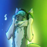 Jammin’ Furry :3