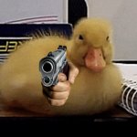Baby Duckling Gun meme