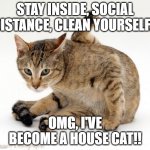 clean cat virus | STAY INSIDE, SOCIAL DISTANCE, CLEAN YOURSELF... OMG, I'VE BECOME A HOUSE CAT!! | image tagged in cleaning cat | made w/ Imgflip meme maker