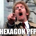 Hexagon PFP | HEXAGON PFP | image tagged in donald sutherland invasion of the body snatchers,invasion of the body snatchers,hexagon | made w/ Imgflip meme maker