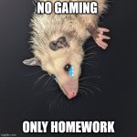 all work no play | NO GAMING; ONLY HOMEWORK | image tagged in sad possum | made w/ Imgflip meme maker