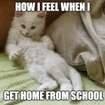 Laz craz | HOW I FEEL WHEN I; GET HOME FROM SCHOOL | image tagged in laz craz | made w/ Imgflip meme maker