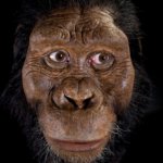 Earliest Australopithecus