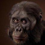 Australopithecus afarensis