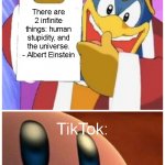 refuses to accept the truth | There are 2 infinite things: human stupidity, and the universe. - Albert Einstein; TikTok: | image tagged in refuses to accept the truth | made w/ Imgflip meme maker