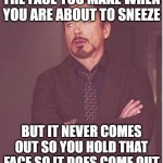 robert downey jr meme | THE FACE YOU MAKE WHEN YOU ARE ABOUT TO SNEEZE BUT IT NEVER COMES OUT SO YOU HOLD THAT FACE SO IT DOES COME OUT | image tagged in memes,face you make robert downey jr,the face you make,sneezing | made w/ Imgflip meme maker