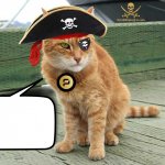 ARRR cat