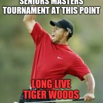 Tiger Woods | COULDN'T WIN THE SENIORS MASTERS TOURNAMENT AT THIS POINT; LONG LIVE TIGER WOODS; WHAT'S PAR? | image tagged in tiger woods,sunset,good times | made w/ Imgflip meme maker
