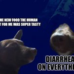 Darkside Dog | THE NEW FOOD THE HUMAN GOT FOR ME WAS SUPER TASTY; DIARRHEA ON EVERYTHING | image tagged in darkside dog | made w/ Imgflip meme maker