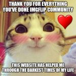 Thank you so much <3 | THANK YOU FOR EVERYTHING YOU'VE DONE IMGFLIP COMMUNITY THIS WEBSITE HAS HELPED ME THROUGH THE DARKEST TIMES OF MY LIFE | image tagged in memes,smiling cat | made w/ Imgflip meme maker