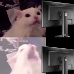 Cat Lightmode meme
