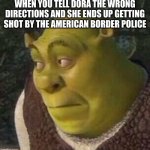 Shrek | WHEN YOU TELL DORA THE WRONG DIRECTIONS AND SHE ENDS UP GETTING SHOT BY THE AMERICAN BORDER POLICE | image tagged in shrek | made w/ Imgflip meme maker