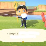 Animal Crossing I caught a thing meme